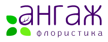 Ангаж